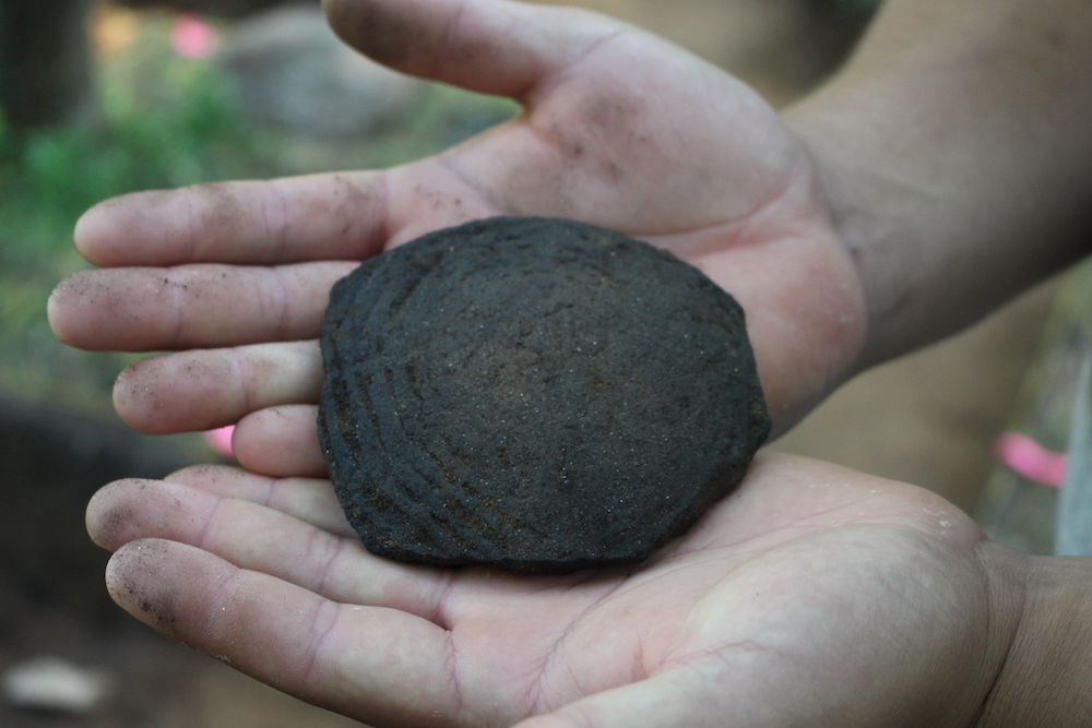 Hands holding a recovered artifact